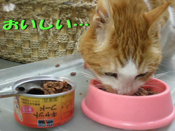 うまうま(^○^)イタダキマース!!