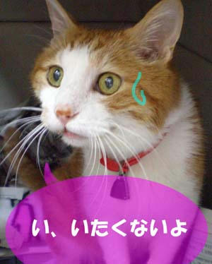 ちょっとドキドキ…