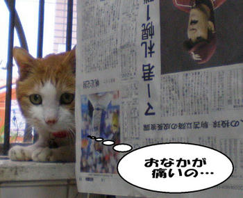 大丈夫かな?