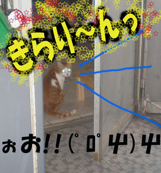 きらり～～んっ！