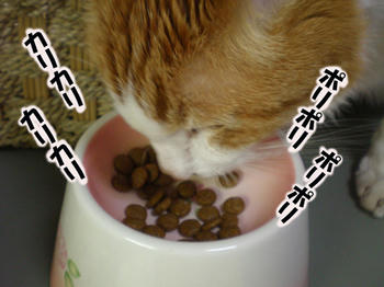 おいし~です!