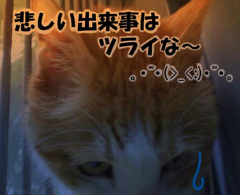 どよ~~ん