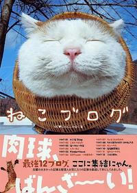ねこブログ 読んだらヤバイ!