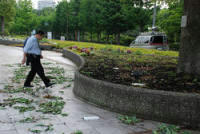 横浜の公園の写真
