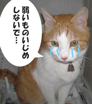 お願い…