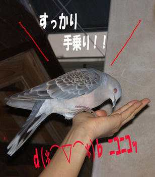 ちょっとまずい?