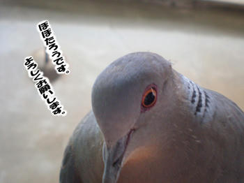 ヨロシク(゚0゚)(。_。)ペコッ