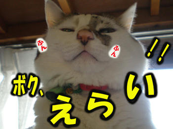 ふんぞりかえり!