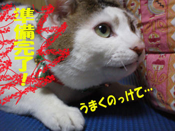 息を合わせて…