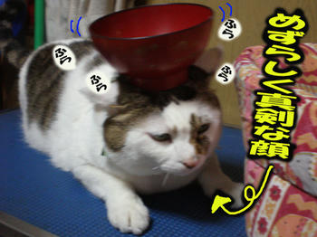 バランスをとって！