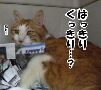 タンタンのお部屋にて～