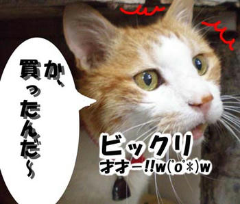 やっちゃった～！