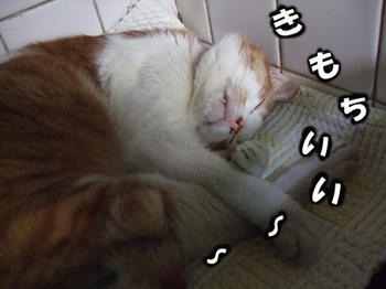 v(*'-^*)-☆ ok!!