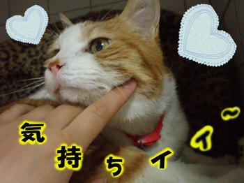 こうでなくちゃ(*^-^)ﾆｺ