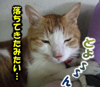 さざ波きちゃった…