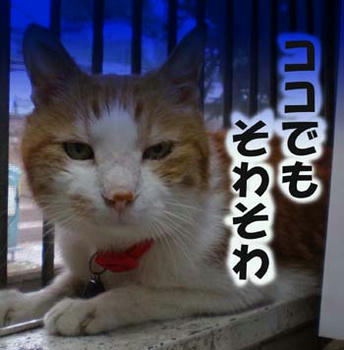 ココじゃ眠れない～）￣ε￣（