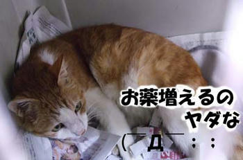 引き気味のタンタン…