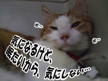 寝むた~い~(゚ρヾ)ゴシゴシ