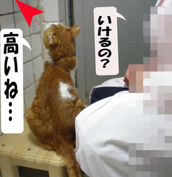 う~高い~