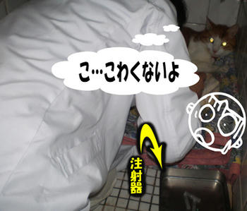 大丈夫(*｀д´)b OK!