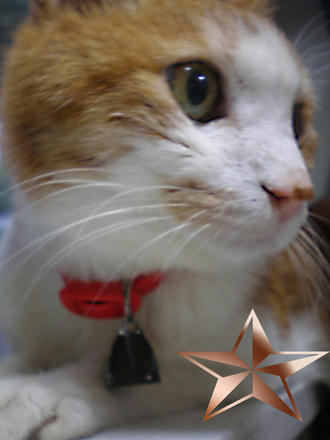 いつもと同じ(^^)ﾆｺ