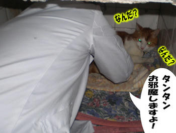ちょっとドキドキ