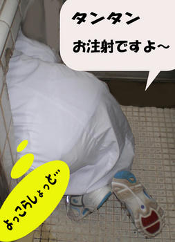 先生：*：゜・☆ヾ(TωT。)了└|力"├♪