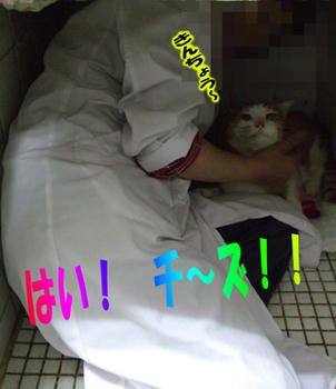 記念写真だねパチッ☆-(^ー'*)bオッケー♪