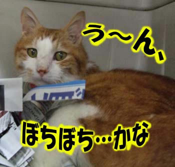 とりあえず…は。