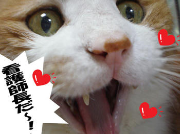 わ~い!どうしたの?!