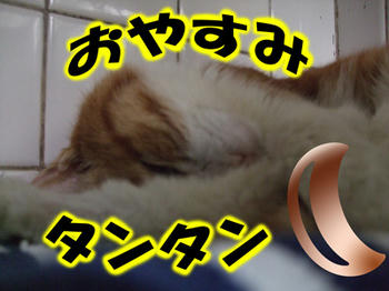 よく眠れるね♪