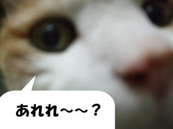 わかった？(⌒-⌒)ﾆｺﾆｺ...
