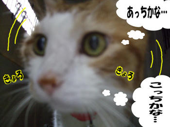 誰だろう…(・・∂) アレ?