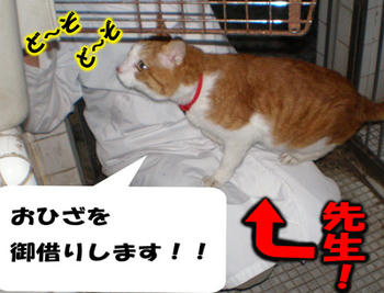 今日は先生ヾ(~∇~;) ｺﾚｺﾚ