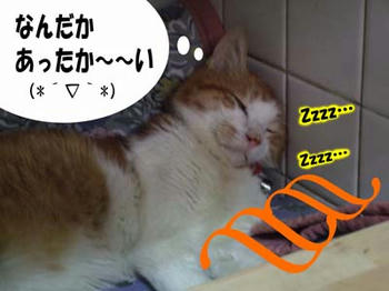 暖かいのが来た～