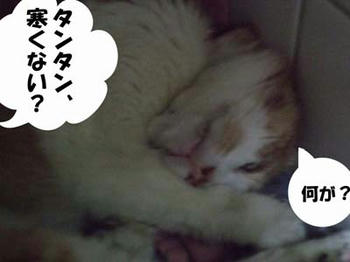 平気だよ！v('▽^*)ォッヶー♪