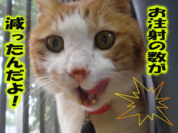 よかったね～タンタン