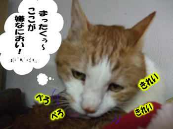 念入りにお掃除