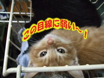 やられる~!(-_・)┏*バキュン・