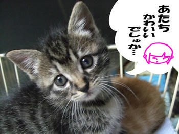 キュート過ぎ!
