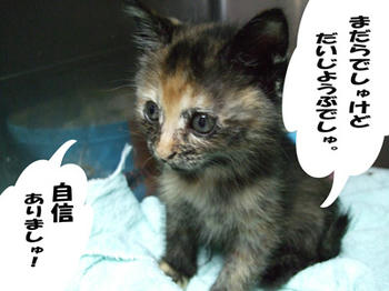 個性的ね！
