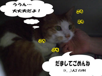 仲直り(^∧^) ｺﾞﾒﾝｺﾞﾒｰﾝ