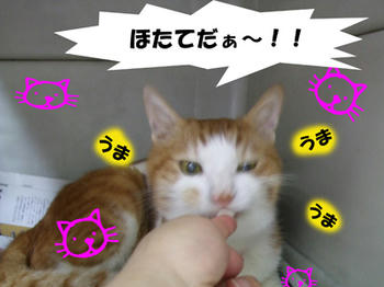 やった~♪