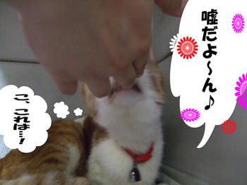 この匂いは…