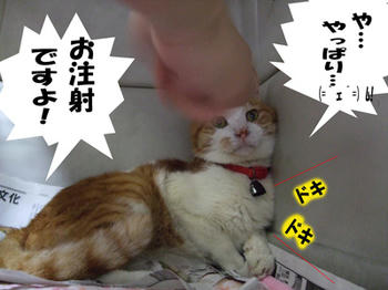 いつもと違うよ!