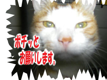 ぬぅ～～ん。