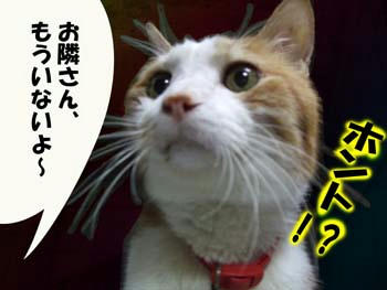落ち着いた？