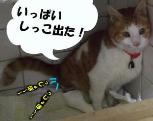 出た出た！