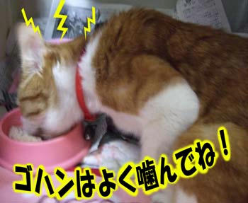 むしゃむしゃσ(~~~、)