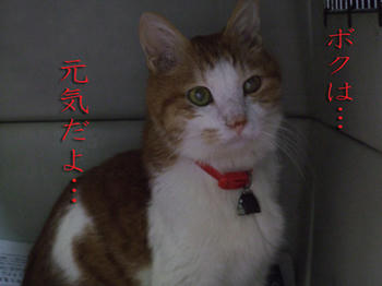 そうだよね(^^)ニコ